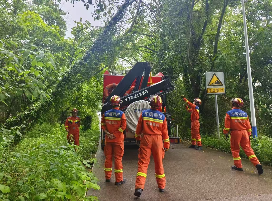 长林村：消防员化身“伐木工” 雨中伐危树排隐患