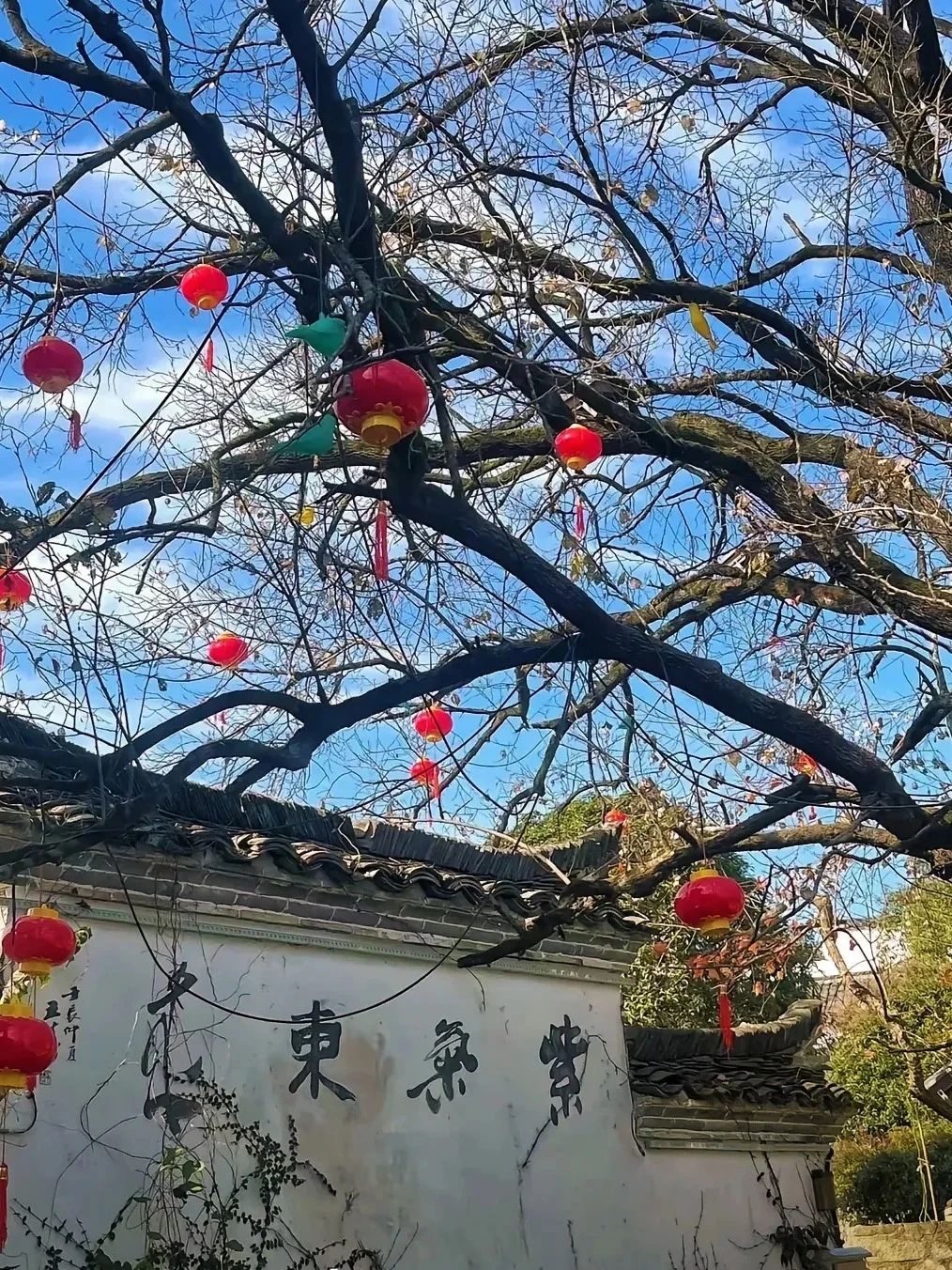 微信图片_20250418155209.jpg