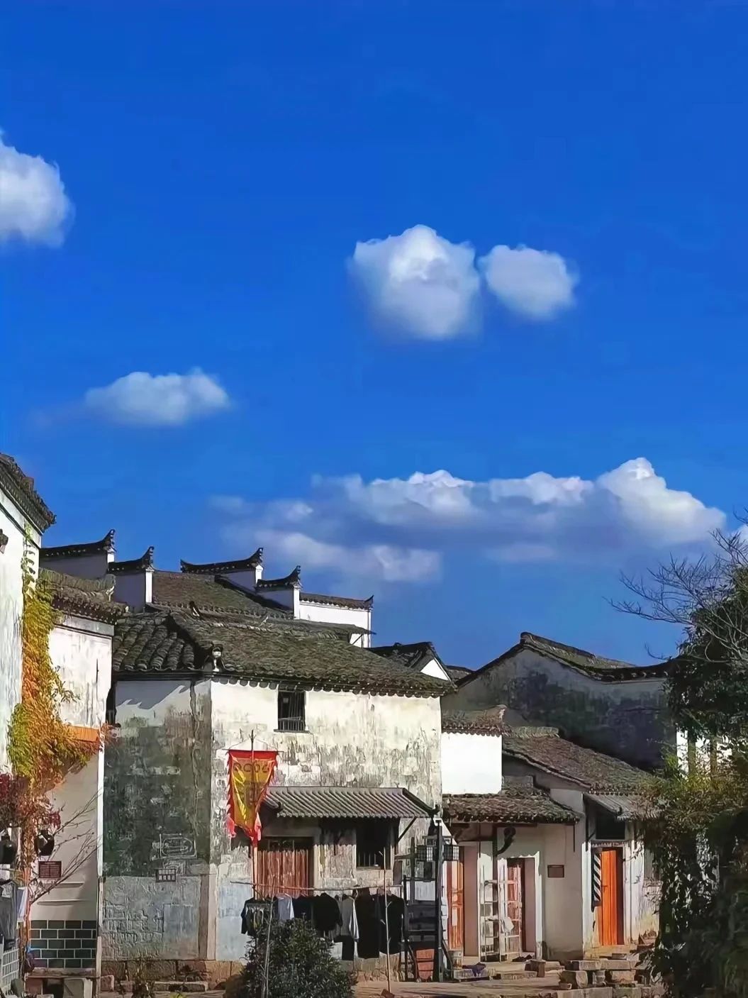微信图片_20250418155212.jpg