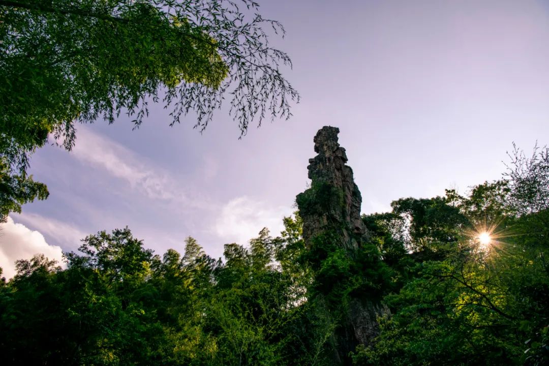 微信图片_20250418164256.jpg