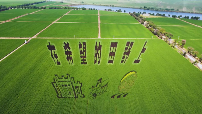 1746871579164.png