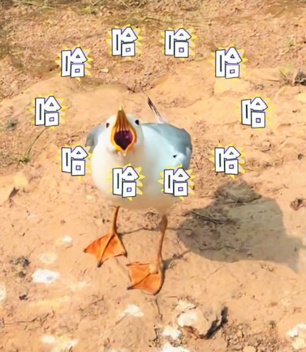 d2bf1327601e6bbf92879d0009ce31b.png