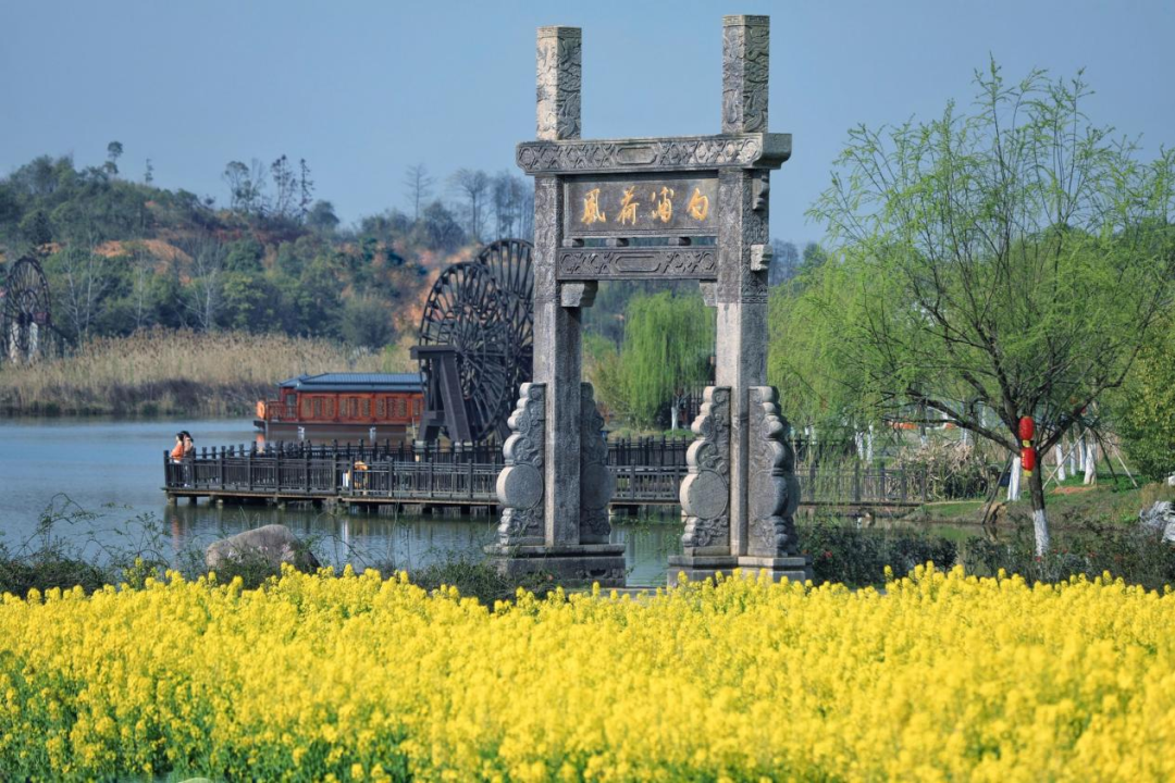 微信图片_20250529090619.png