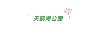 87a9ae1103f7949af61bf2dfc19e3f9.png