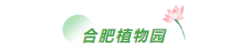 44753a97a2cf09cfdf17003e380a8c6.png