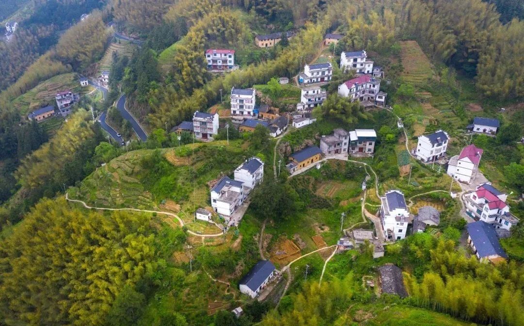 微信图片_20250618181659.jpg